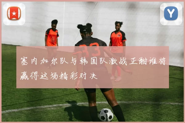 塞内加尔队与韩国队激战正酣谁将赢得这场精彩对决
