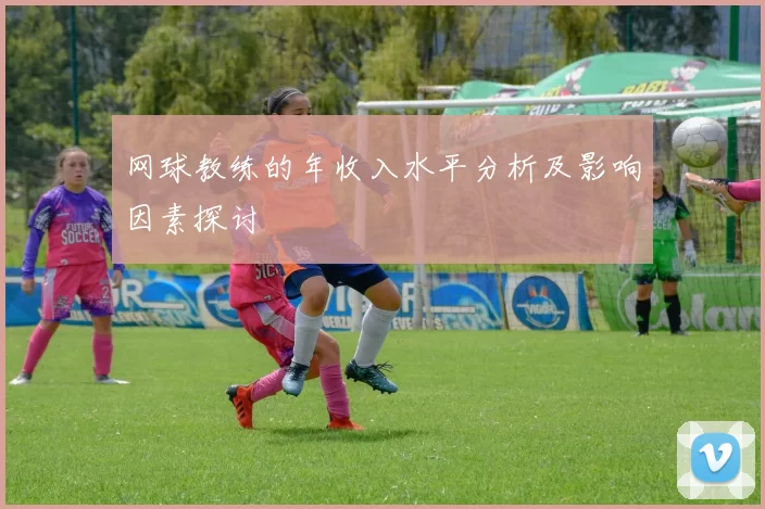 网球教练的年收入水平分析及影响因素探讨