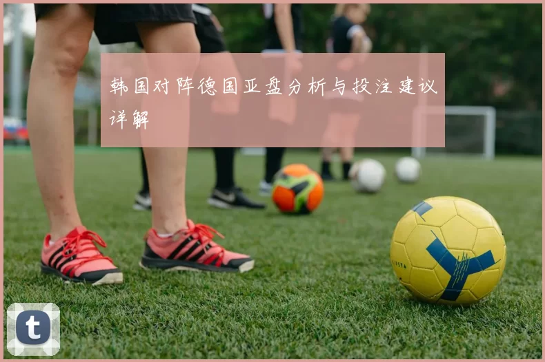 韩国对阵德国亚盘分析与投注建议详解