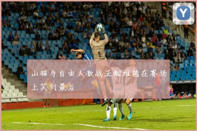 山猫与自由人激战正酣谁能在赛场上笑到最后