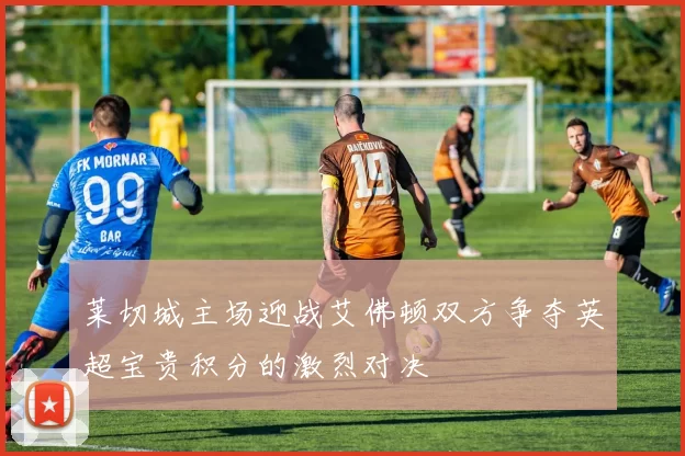 莱切城主场迎战艾佛顿双方争夺英超宝贵积分的激烈对决