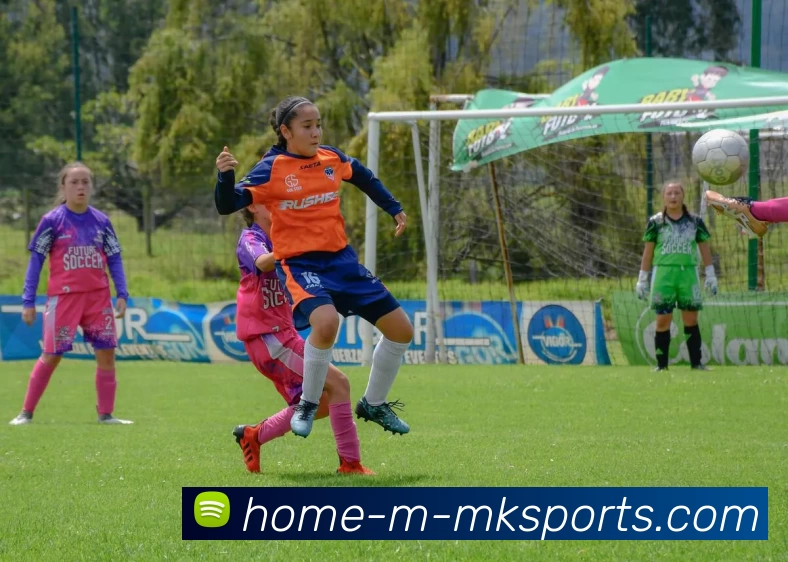 MK体育服务体系